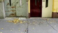 Old_and_new_doors