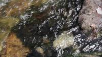 Water Flows Around Rock in a Creek