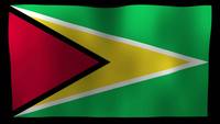Guyana flagga 4k motion loop stock video