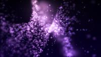 Purple bokeh lights of different sizes fading and floating on dark background