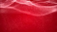 Particle Net on Red Background in 4K
