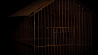 Rusty Birdcage With Scary Light Moving