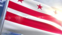 Vinkande flagga i staten Waschington DC USA