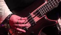 Bassgitarre in Live-Action bei einem Konzert - Rack Fokus - hautnah