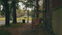 Handheld Clip Van Steigers In Een Tuin Met Een Park In De Achtergrond