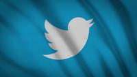 Twitter de bandeira de mídia social