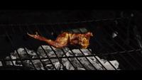BBQ BBQ Chicken Wings op een Wood Smoked Grill - BBQ 041