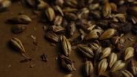 Rotierender Schuss von Gerste und anderen Bierbrauenbestandteilen - BIERBREWING 080