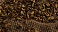 Rotierender Schuss von Gerste und anderen Bierbrauzutaten