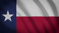 texas stats flagga