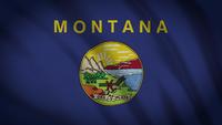 montana state flagga