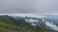 Sea fog over the peaks and forests. Nature after rain