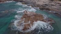 Cormorants on rock in the sea in 4K
