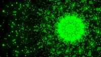 Green Dots In A Circular Movement