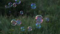 bubblor i parken