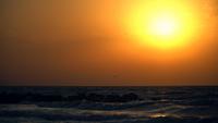 Sunset Over The Sea And Seagulls Flying Across The Sky
