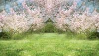 Fantasy Springtime Garden 