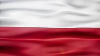 Polen vlag lus
