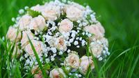 Boeket Roze Rozen