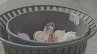 A City's Trashcan