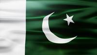 Vlag van Pakistan lus