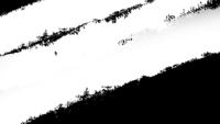 Fundo de transição preto e branco de traçado de pincel pintura abstrata, animação de respingo de tinta. Pincele o fundo de transição em preto e branco para revelar os fundos da foto ou do vídeo.