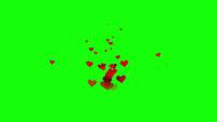Small Red Hearts Floating Up on Chromakey background