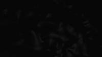 Black wave background