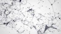 Animation du plexus gris