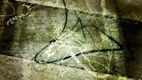 Erratic Wall Texture