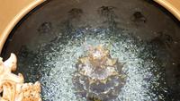 Sparkling coins at the bottom of a Water pond