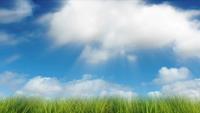 Nuvens e grama brilhantes