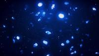 Abstract blue colored bokeh Background