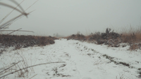 A low shot of a snowy path