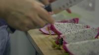 Woman Cutting Ripe Dragon Fruit with A Knife