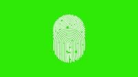 Animated ID fingerprint motion graphic on green screen